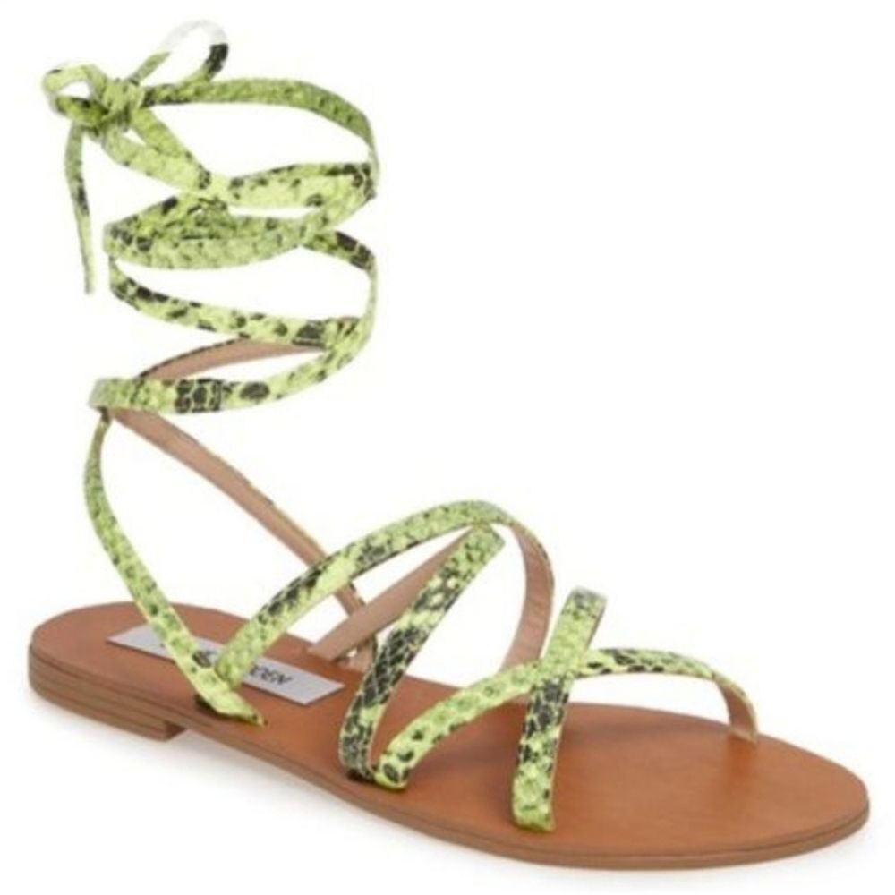 NEW 8.5 STEVE MADDEN BRAZIL GREEN GRAY LEATHER SEXY LACEUP SANDALS 8 1/2 NWT NIB